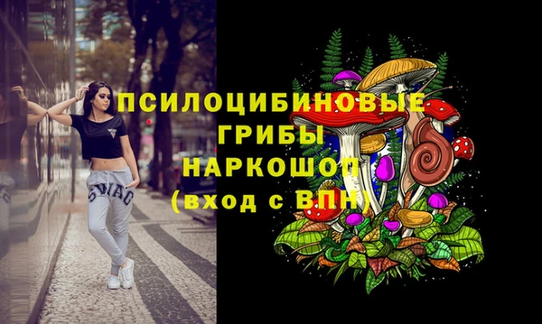 мет Алексин